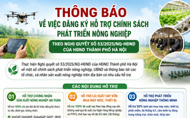 THÔNG BÁO
Về việc đăng ký hỗ trợ chính sách phát triển nông nghiệp theo Nghị quyết số 53/2025/NQ-HĐND của HĐND Thành phố Hà Nội