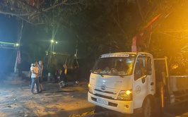 Nam Phù khẩn trương xử lý cây xanh gãy đổ trong đêm, đảm bảo an toàn giao thông tại thôn Tự Khoát