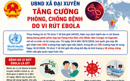 UBND xã Đại Xuyên tăng cường phòng, chống bệnh do vi rút Ebola