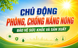 CHỦ ĐỘNG PHÒNG, CHỐNG NẮNG NÓNG BẢO VỆ SỨC KHỎE VÀ SẢN XUẤT