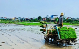 Xã Ô Diên tổ chức rà soát, đăng ký nhu cầu hỗ trợ
các tổ chức, cá nhân sản xuất nông nghiệp trước ngày 28/5/2026