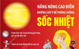 Nắng nóng cao điểm: Những lưu ý để phòng chống sốc nhiệt