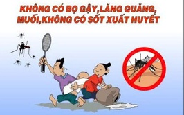 Chủ động diệt bọ gậy, phòng chống sốt xuất huyết