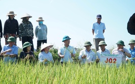 Hội nghị sơ kết công tác sản xuất vụ Xuân năm 2026, đánh giá kết quả thực hiện mô hình lúa J02 và triển khai kế hoạch sản xuất vụ Mùa, vụ Đông năm 2026–2027
