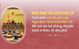Chính phủ ban hành Nghị định số 185/2026/NĐ-CP về tổ chức, hoạt động của thôn, tổ dân phố