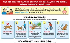 Thông báo: xử lý chó thả rông, động vật mắc bệnh dại, nghi mắc bệnh dại trên địa bàn phường Hai Bà Trưng.