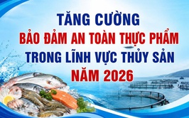 Bài tuyên truyền về tăng cường bảo đảm an toàn thực phẩm trong lĩnh vực thủy sản năm 2026