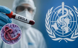 Phòng chống bệnh do Ebola Virus