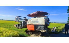 CHI HỘI NÔNG DÂN THÔN YÊN NỘI THỰC HIỆN MÔ HÌNH CƠ GIỚI HÓA ĐỒNG BỘ GẮN VỚI TIÊU THỤ SẢN PHẨM LÚA TƯƠI