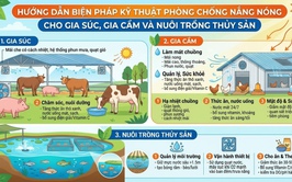 Hướng dẫn biện pháp kỹ thuật phòng chống nắng nóng cho gia súc, gia cầm và nuôi trồng thủy sản