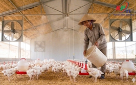 BÀI TUYÊN TRUYỀN: 