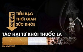 Phòng, chống tác hại của thuốc lá