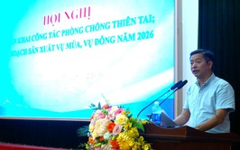 Xã Thanh Oai triển khai kế hoạch phòng, chống thiên tai và sản xuất vụ Mùa, vụ đông năm 2026