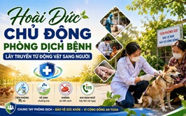Hoài Đức chủ động phòng dịch bệnh lây truyền từ động vật sang người