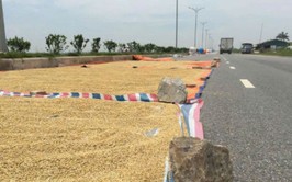 CHUNG TAY GIỮ GÌN AN TOÀN GIAO THÔNG TRONG MÙA THU HOẠCH LÚA