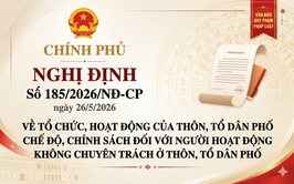 Tiêu chuẩn của Trưởng thôn, Tổ trưởng tổ dân phố