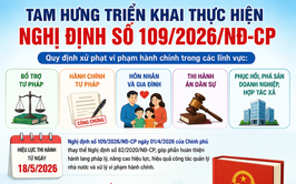 Nâng cao hiệu lực, hiệu quả công tác xử lý vi phạm hành chính trong lĩnh vực tư pháp