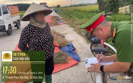 QUYẾT LIỆT XỬ LÝ TÌNH TRẠNG ĐỐT RƠM RẠ GÂY Ô NHIỄM MÔI TRƯỜNG