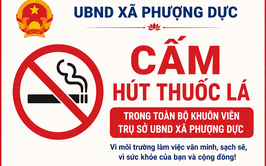 Phượng Dực chung tay xây dựng môi trường không khói thuốc lá