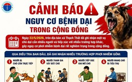 Cảnh báo nguy cơ bệnh dại trong cộng đồng