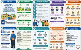 Nghị định số 185/2026/NĐ-CP ngày 26/5/2026 của Chính phủ quy định về tổ chức, hoạt động của thôn, tổ dân phố và chế độ, chính sách đối với người hoạt động không chuyên trách ở thôn, tổ dân phố