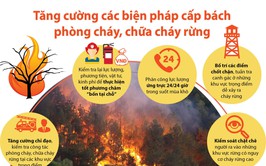 Tăng cường các biện pháp phòng cháy rừng trong cao điểm nắng nóng