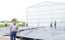 Hoài Đức tổ chức tháo dỡ công trình xây dựng trái phép trên đất Nông nghiệp tại thôn Nội