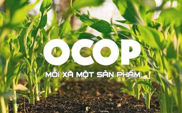 Công khai Danh sách các sản phẩm OCOP đã được chứng nhận trên địa bàn xã Đông Anh