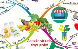 Tiếp tục nâng cao trách nhiệm của người sản xuất, kinh doanh thực phẩm