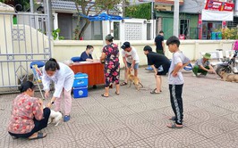 Bát Tràng chủ động, quyết liệt trong công tác phòng, chống dịch bệnh cho đàn vật nuôi