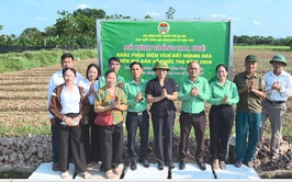 Hội Nông dân xã Phúc Thọ tổ chức dâng hương tri ân tại Đền thờ các Anh hùng Liệt sỹ Phúc Thọ và gắn biển mô hình trồng hoa Huệ tại xứ đồng Bến