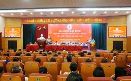 Hội Chữ thập đỏ phường Việt Hưng: Đổi mới, lan tỏa hoạt động vì cộng đồng