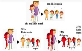 Hành động ngay vì một tương lai không còn bệnh
 tan máu bẩm sinh (Thalassemia)