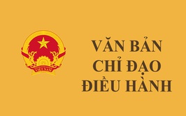 UBND phường Tương Mai ban hành Kế hoạch số 274/KH-UBND ngày 29/4/2026 về việc Thực hiện công tác Quản lý đất đai trên địa bàn phường Tương Mai năm 2026