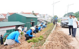Xã Sơn Đồng triển khai xây dựng tuyến đê “Xanh - Sạch - Đẹp - Nở hoa” năm 2026