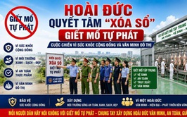 Hoài Đức quyết tâm “xóa sổ” giết mổ tự phát - cuộc chiến vì sức khỏe cộng đồng và văn minh đô thị