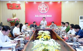Xuân Mai quyết tâm 