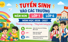 Quảng Bị triển khai Kế hoạch tuyển sinh vào các trường mầm non, lớp 1, lớp 6 năm học 2026-2027