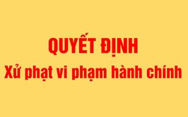 Thông báo quyết định xử phạt vi phạm hành chính