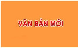 Hà Nội không yêu cầu công dân phải cung cấp xác nhận số chứng minh nhân dân 9 số, số định danh đã hủy