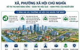 Hình hài xã, phường Xã hội chủ nghĩa như thế nào?