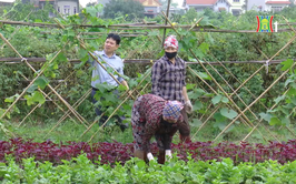 Người nông dân xã Nội Bài với khát vọng nông nghiệp hữu cơ