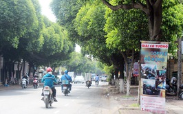 Hà Nội ban hành Nghị quyết quy định mức tiền phạt đối với một số hành vi vi phạm hành chính trong lĩnh vực văn hóa, quảng cáo