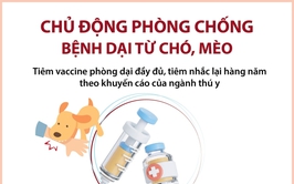 Chủ động phòng, chống bệnh Dại: Mỗi người dân là một “lá chắn” bảo vệ cộng đồng