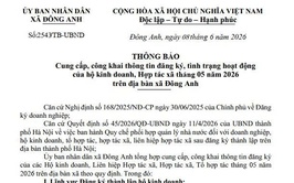 Cung cấp, công khai thông tin đăng ký, tình trạng hoạt động của hộ kinh doanh, hợp tác xã tháng 5 năm 2026