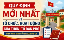 QUY ĐỊNH MỚI về TỔ CHỨC của THÔN, TỔ DÂN PHỐ