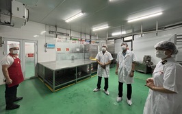 Bảo đảm an toàn thực phẩm, phòng ngừa ngộ độc thực phẩm trong dịch vụ ăn uống và thức ăn đường phố