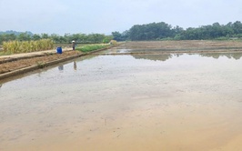 Đẩy nhanh tiến độ sản xuất vụ mùa 2026 trên địa bàn xã Đoài Phương