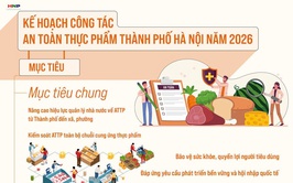 BẢO ĐẢM AN TOÀN THỰC PHẨM, PHÒNG NGỪA NGỘ ĐỘC THỰC PHẨM TRONG DỊCH VỤ ĂN UỐNG VÀ THỨC ĂN ĐƯỜNG PHỐ