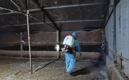 CHỦ ĐỘNG THỰC HIỆN AN TOÀN SINH HỌC TRONG CHĂN NUÔI – GIẢI PHÁP CĂN CƠ PHÒNG, CHỐNG DỊCH BỆNH ĐỘNG VẬT